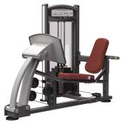 Жим ногами Aerofit IT9310