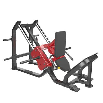 Гак машина Aerofit SL7021 Сверхсовременный дизайн тренажёра создаёт впечатление крепкой и профессиональной конструкции.

Основой прочной структуры являются трубы из стали. Данные профиля: 5,0&times;10,0&times;0,25 см.

Создаётся нагрузка на четырёхглавую мышцу бедра, большую ягодичную мышцу и подколенное сухожилие.

