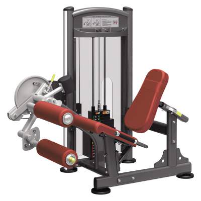 Сгибание/Разгибание ног Aerofit IT9328 Тренажёр является воплощением профессионализма, стиля и надёжности. Обладает устойчивой конструкцией и современным дизайном.

Прочная структура рамы изготовлена из стальных труб. Параметры профиля труб: 5&times;10 см, стенки толщиной 0,3 см. Новейшая технология сварки позволяет достичь наивысшей точности.

Новейший порошковый способ покраски рамы позволяет создать лучшее сцепление металла с поверхностью, покрытой лаком.

