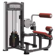 Разгибание спины Aerofit IT9332