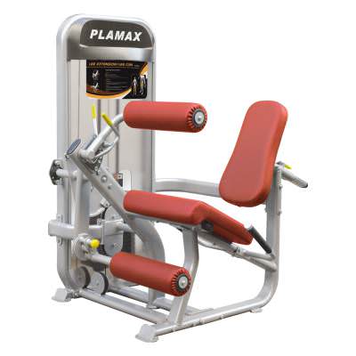 Сгибание/Разгибание ног Aerofit PL9019 Plamax &ndash; это профессиональное спортивное оборудование, которое является компактным, высококачественным и отлично используется в небольших спортзалах и фитнес центрах.

Плавный, обтекаемый профиль.

Мягкие детали (спинка, сидение и подушки для ног) имеют удобную и комфортную форму.

Размеры &ndash; 123,0&times;122,0&times;152,0 см;

Весовой стек &ndash; 113 кг / 77 кг (250 ф / 170 ф).
