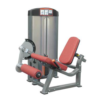 Разгибание ног Aerofit IF8105 Новая линия профессионального спортивного оборудования AEROFIT IF LINE &ndash; это качественные, надёжные и недорогие тренажёры, которые разработаны специально для фитнес центров и спортивных залов американскими специалистами. Каждая единица оборудования выполнены в соответствии с последними технологиями и мировыми стандартами безопасности.

Спортивное оборудование серии IF обладает рядом преимуществ. Они не только комфортны в эксплуатации, но и удобны при транспортировке и установке. Тренажёры доставляются клиентам в разобранном состоянии, поэтому их можно без лишних усилий занести в помещение.

Каждый тренажёр обладает плавным обтекаемым профилем.
